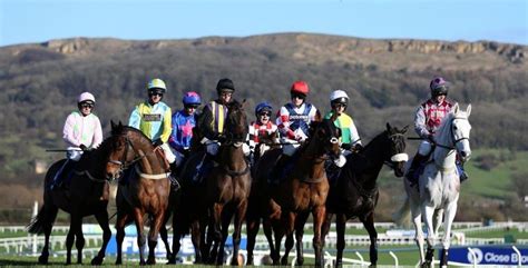 cheltenham racing bets|Iba pa.